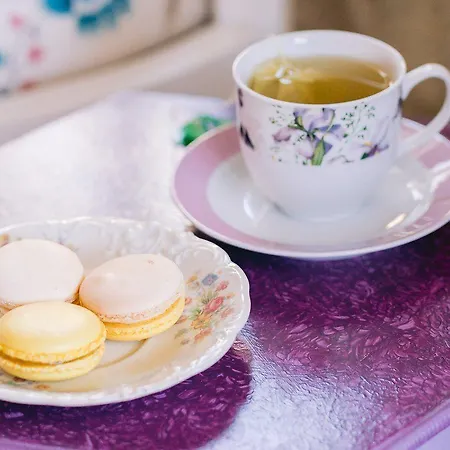 Begonvil By Aliki 알라카티